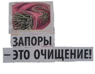 🐍
