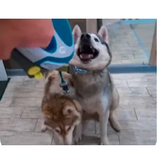 👍