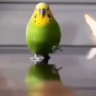 🔥