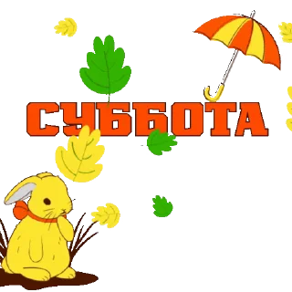 🍁