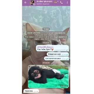 🖼