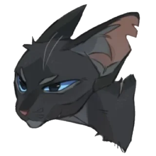 🐱