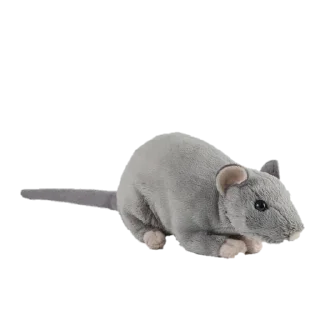 🐭