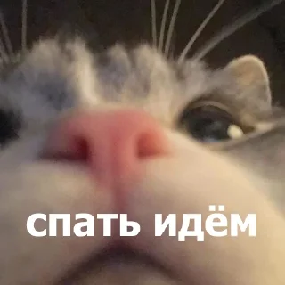 😴