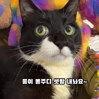 namhee_psd @flowwercat