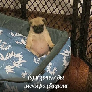 😕