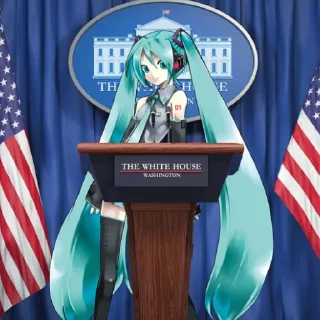 🇺🇸