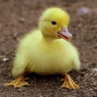 😃