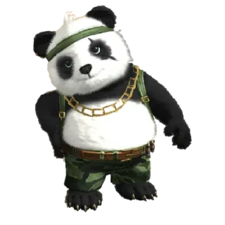 🐼