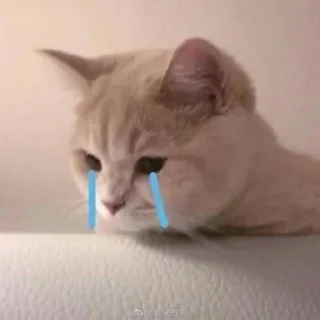 😭