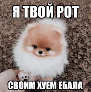 🖕