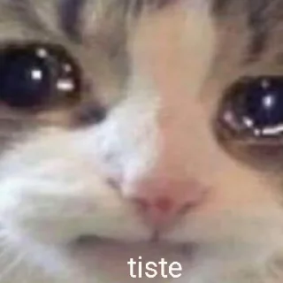 🥺