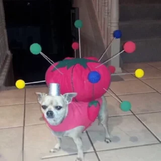 🧵