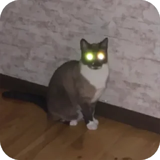 😳