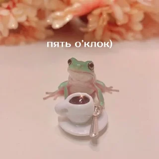 ☕️