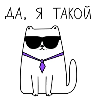 😎