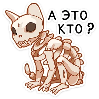 ❓