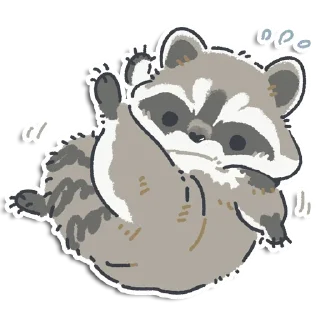 🦝