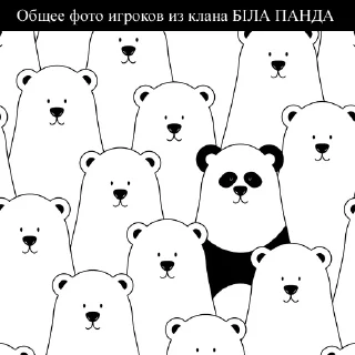 🐼