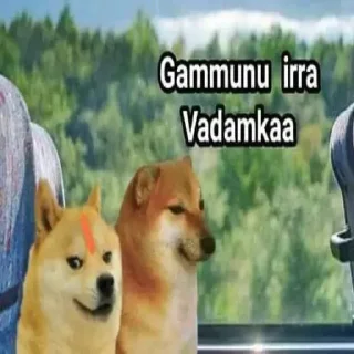 ⚡