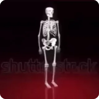 💀