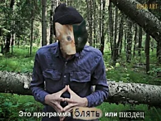 😿