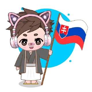 🇸🇰