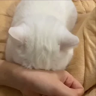 😳