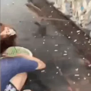 🐵