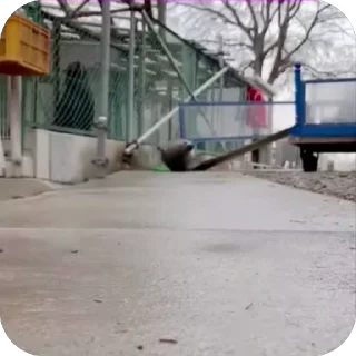 😁