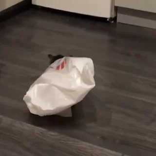 🧐