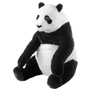 🐼