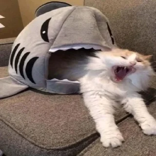 😱