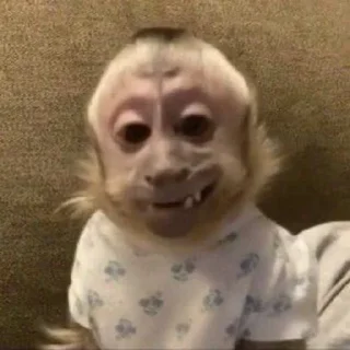 👹