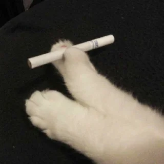 🚬