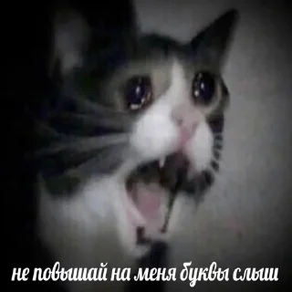 😡