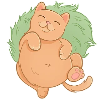 😸