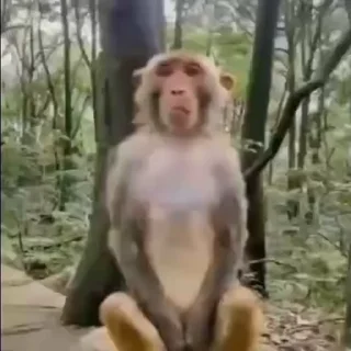 😬