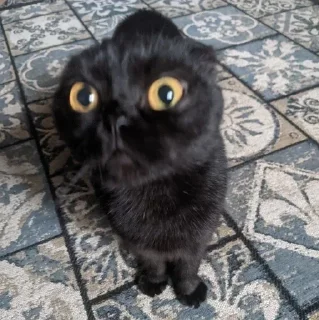 😳