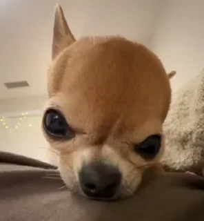 👹