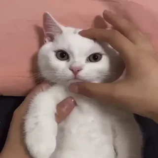 😡
