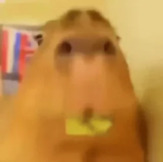 😋