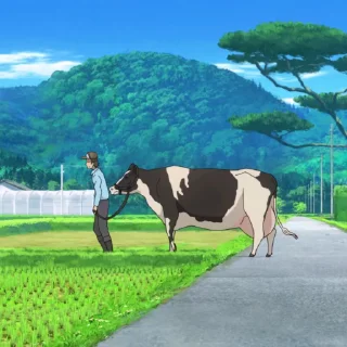 🐂