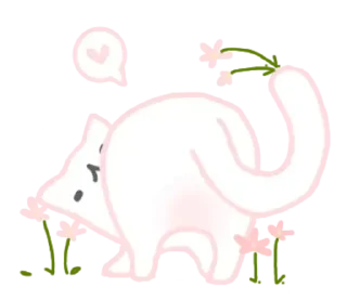 🐾 : киця ➛ @wexsavi ° ☆ 