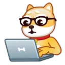 👨‍💻