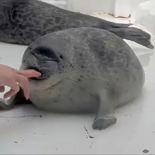 😣