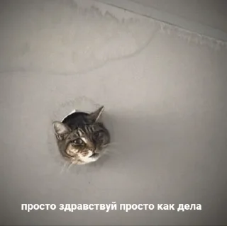 😌