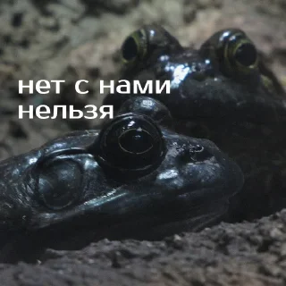 🙅‍♀️