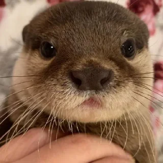 😟