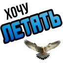 🦅